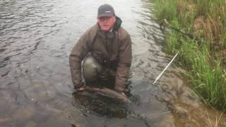 Ian Gordon Salmon Fishing Tulchan River Spey [upl. by Aihsela493]