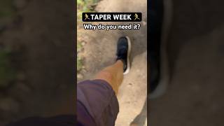 WHY YOU NEED A TAPER WEEK [upl. by Nitram]