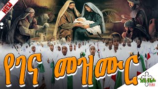 የልደተ ክርስቶስ የገና የተመረጡ መዝሙሮች  New Ethiopian Orthodox Yegena Mezmur [upl. by Alfonso]