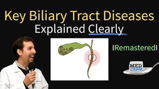 Key Biliary Tract  Cholestatic Diseases amp Labs Explained [upl. by Bollay]