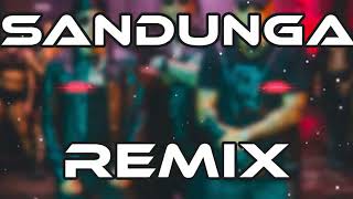 SANDUNGA REMIX  DON OMAR ✘ WISIN ✘ YANDEL ✘ DJ GUSTAVO CRUZ [upl. by Amadis673]