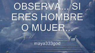 SANANDO TUS VIDAS ANTERIORES 2A EDICION Original maya333godwmv [upl. by Risay573]