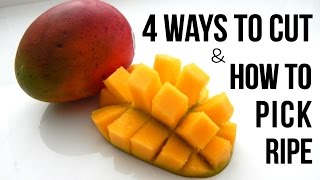 4 BEST WAYS TO CUT MANGO FAST [upl. by Ilohcin]