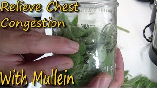 How To Make Mullein Tincture amp Its Uses [upl. by Sayres193]