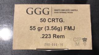 GGG 223 REM 55gr 356g FMJ Doctorguneu [upl. by Swagerty184]