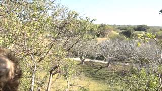 Fishing Cultures of Southwest Florida [upl. by Asilahs47]