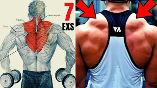 TRAP WORKOUT MASSIVE  7 best DUMBELLS exericises for bigger traps [upl. by Ahsets954]