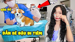 SAMMY DẪN BÉ ĐẬU ĐI BỆNH VIỆN  ĐÉ ĐẬU KHÓC VÌ BỊ TIÊM [upl. by Enelear502]