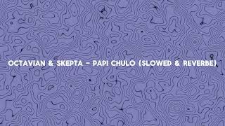 Octavian amp Skepta  Papi Chulo Slowed amp Reverbe [upl. by Gazzo]