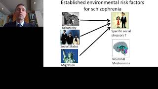 Keynote Presentation Environmental Risk Mechanisms for Psychiatric Disorders [upl. by Eliak]