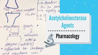 ANTICHOLINESTERASE AGENTS REVERSIBLE  INDIRECTACTING CHOLINERGIC AGONISTS PHARMACOLOGY [upl. by Moor]