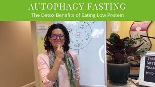 AUTOPHAGY FASTING  The Detox Benefits of Eating Low Protein [upl. by Kelcey]