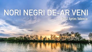 NORI NEGRI DEAR VENI  Rugul Aprins Valencia  VERSURI [upl. by Ellenid]