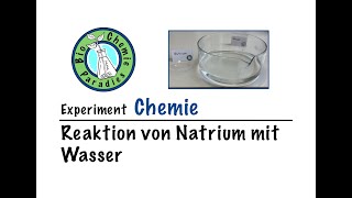 Experiment Chemie – Reaktion von Natrium mit Wasser [upl. by Nolava807]