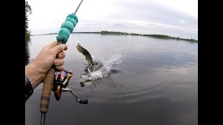 Madawaska River  PIKE DESTROYED MY HOOK [upl. by Zosi]