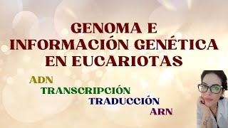 GENOMA E INFORMACIÓN GENÉTICA EN EUCARIOTAS  ADN  TRANSCRIPCIÓN  TRADUCCIÓN  ARN biologia dna [upl. by Naiditch]