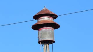 Federal Signal Model 7A  Amherst Nebraska Siren Test [upl. by Ellehsyt840]