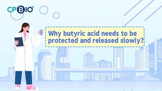 Why butyric acid needs to be protected and released slowly？animalhealth farming cute pig [upl. by Basilius476]