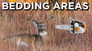 How To Create Ideal Whitetail Bedding Areas [upl. by Norine]