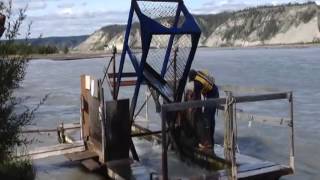 Chitina Fish Wheel [upl. by Eigla406]