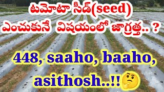 టమోటా సీడ్seed ఎంచుకునే విషయంలో జాగ్రత్త  WhatsApp group 7989836422 GraduateFarmervyas [upl. by Dimitris]