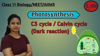 Ch13 Photosynthesis L06  C3 cycle  Calvin cycle  Dark reaction  Biosynthetic phase NEET AIIMS [upl. by Sampson]