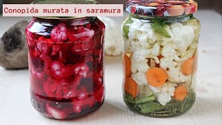 Conopida murata in saramura 1 singura reteta 2 variante alb si roz  🥣 Lecturi si Arome [upl. by Emelyne]