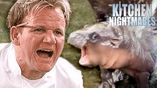 gordon amp moo deng screamo duet when  Kitchen Nightmares  Gordon Ramsay [upl. by Froma]