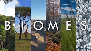 Biomes  The Living Landscapes of Earth Introduction To Biomes Of The World Geodiode [upl. by Aela789]