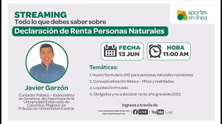 Declaración de Renta Personas Naturales [upl. by Nowahs188]