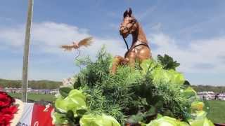 48th Annual Atlanta Steeplechase  Event Video  Crisp Video  Crisp Video [upl. by Immot]