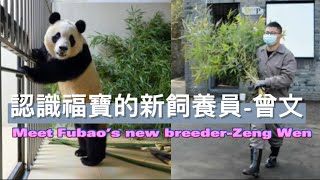 認識福寶的新飼養員曾文 Meet Fubao’s new breederZeng Wen [upl. by Anrapa]