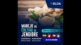 WEBINAR ELDA MANEJO DEL CULTIVO DE JENGIBRE [upl. by Zucker]