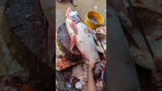 Excellent Cutting Skills  Big Silver Carp Fish Cutting By Expert Fish Cutter😱😱 shorts [upl. by Gretta]