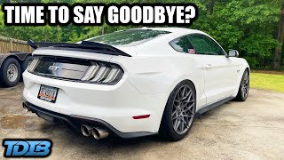 750HP Daily Driver Mustang GT Ownership Experience [upl. by Kipper930]