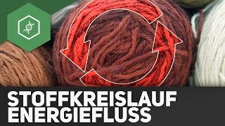 Stoffkreisläufe und Energiefluss  Ökologie [upl. by Eenahs]