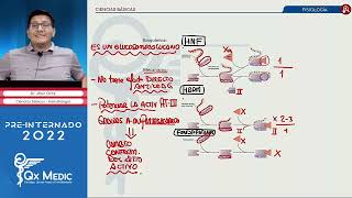 Hematología Farmacología  QX MEDIC 2022 CCBB [upl. by Alyakem]