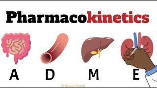 PHARMACOKINETICS Metabolism amp Excretion by Professor Fink [upl. by Nyrret]