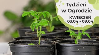 Kwiecień w ogrodzie Kalendarz ogrodnika na 0304  0904 Prace ogrodnicze w kwietniu [upl. by Osmund]