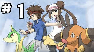 Pokémon Showdown  Parties de plaisir n°1 [upl. by Dinsmore839]