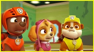 ❤️🌟La Patrulla Canina ❤️🌟SKye y Zuma Rescate en la Nieve ❤️🌟Patrulla de Cachorros Nickelodeon [upl. by Eenahs]