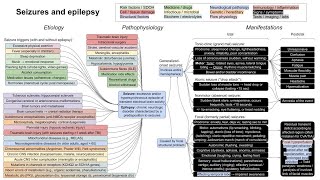 Seizures and epilepsy mechanism of disease [upl. by Neibaf]