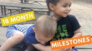 18 Month Developmental Milestones  Baby Developmental Milestones [upl. by Giustina23]