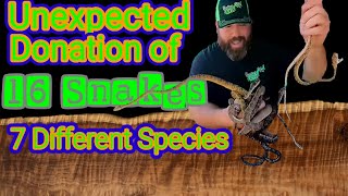 Unboxing 16 Donated Reptiles 7 different species [upl. by Candida]