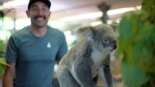 Matt Lieto Swims with Crocodiles  Cairns Airport IRONMAN AsiaPacific Championship Cairns 2024 [upl. by Deys514]