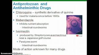 Microbiology Chapter 20 Lecture part 3 [upl. by Neelahs575]