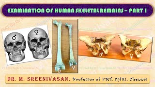 SEX DIFFERENTIATION IN HUMAN SKULL PELVIS amp FEMUR  PART 1 [upl. by Ylrebme]