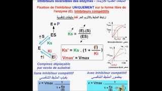 Enzymes Inhibiteurs compétitifs version Fr [upl. by Ahseyk]