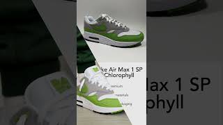 2024 Nike Air Max 1 SP Patta Chlorophyll kixxstar [upl. by Henka]