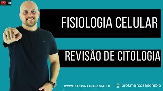 CITOLOGIA  FISIOLOGIA CELULAR  BIODICA  ENEM [upl. by Hairakcaz]